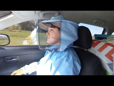 Видео: Бджолопакети 1травня.