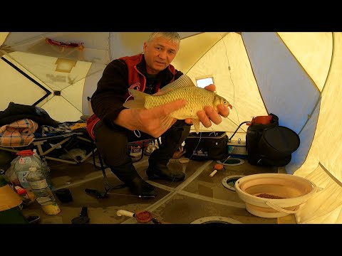 Видео: КАРАСИ  как с ПУЛЕМЁТА , не смотря на НЕПОГОДУ ! Зимняя рыбалка!