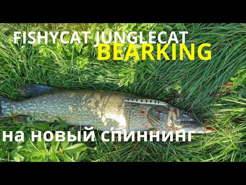 Видео: FISHYCAT JUNGLECAT ОТ BEARKING | ловит Щуку с новым спиннингом от CORMORAN X RAY Германия 2019