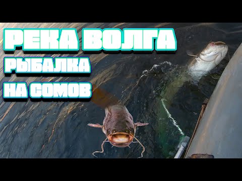 Видео: ХОЗЯИН ВОЛГИ НА КРЮЧКЕ ПЕРЕМЕТ