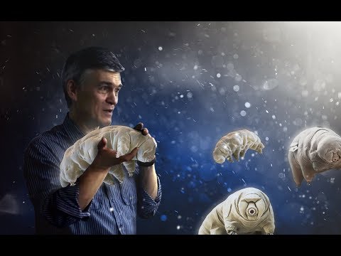 Видео: Самая большая лаборатория (часть 2)