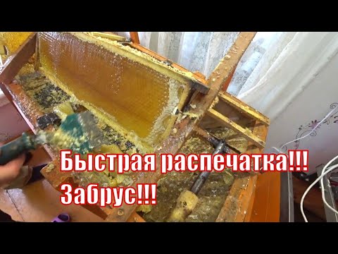 Видео: ОТКАЧКА МЁДА, ВСКРЫТИЕ РАМОК ЭЛЕКТРО ФЕНОМ И ЭЛЕКТРО СКРЕБКОМ ИЗ ПАЯЛЬНИКА