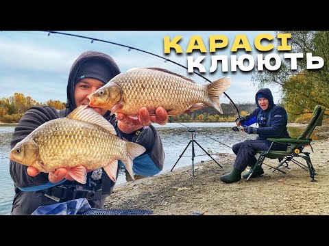 Видео: КАРАСІ на ДИКАРІ‼️ Мордаті КАРАСІ клюють! Осіння рибалка на КАРАСЯ!