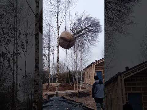 Видео: #Дерево# к нам пришёл очень огромный дерево ( вес 7 тонн😎)