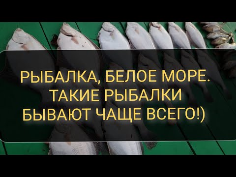 Видео: Белое море/Архангельская область/Рыбалка/Камбала/Навага/Корюх