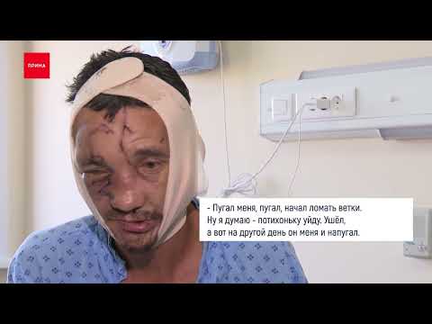 Видео: Выживший после нападения медведя впервые дал интервью