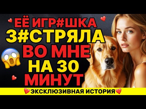 Видео: Щенок и его игрушка занимали меня 30 минут без перерыва...