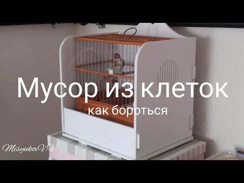 Видео: Как бороться с мусором из клеток