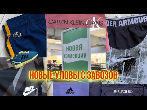 Видео: Новая Коллекция в Планете Секонд Хенд / Секонд Хенды / Lacoste / Hilfiger / Nike / Adidas / Converse