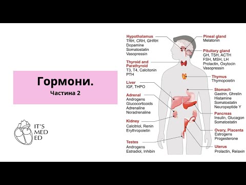 Видео: Біохімія. Гормони 2.