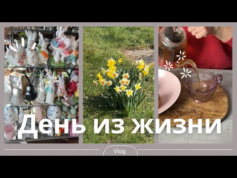 Видео: Англия. Влог. Один весенний день из жизни.