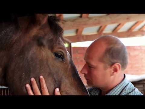 Видео: "ЛОШАДИНЫЙ ОСТРОВ"
