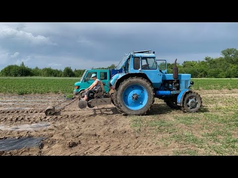 Видео: ДИСКОВКА на 20см👍Розстеляємо плівку Для ПОМІДОРІВ 🍅Новий бізнес? Перший дощ за 2 місяці