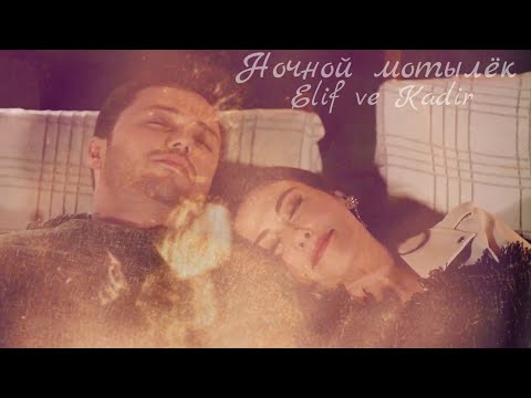 Видео: Элиф и Кадир - Ночной мотылёк (Elif ve Kadir) #baba #tolgasarıtaş #dizi