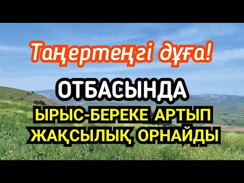 Видео: 🌸Отбасында татулық ырыс-береке артады☝️ Ниса 1-10