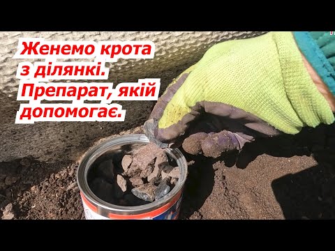 Видео: Проганяю крота з дачі. Спосіб, який добре допомагає. Як кажуть. Перевіряємо.