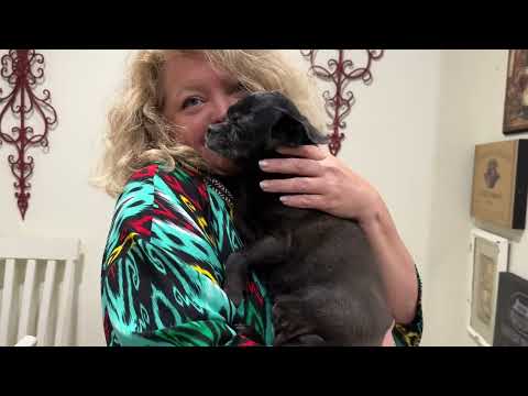 Видео: Надя и Уильям переезжают от нас…