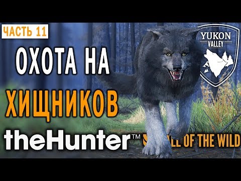 Видео: theHunter Call of the Wild #11 🐺 - Хищник Стал Жертвой! - Долина Юкона, Аляска