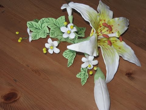 Видео: Часть1 Как изготовить из мастики цветочную композицию с лилией