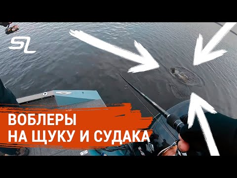 Видео: БЕЗОТКАЗНЫЕ воблеры на ЩУКУ и СУДАКА. Твичинг.
