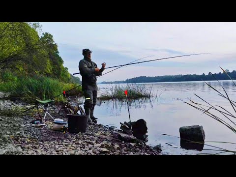 Видео: Подловил  Лещей на Фидер. Ловля Леща меляках. 