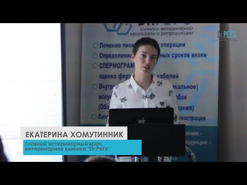Видео: Трансцервикальное искусственное осеменение собак