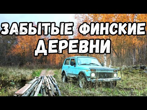 Видео: В глушь на НИВЕ. Тур по старым финским хуторам с металлоискателем.