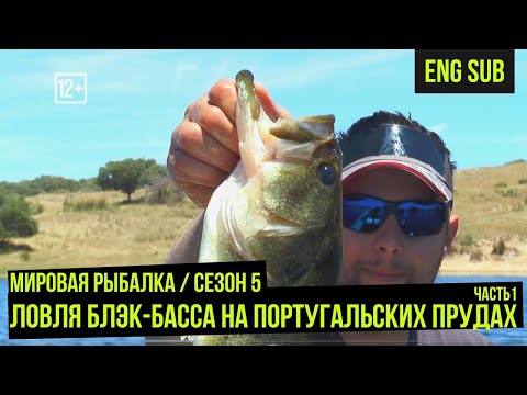 Видео: Ловля Блэк-басса на португальских прудах / Мировая рыбалка #5 / серия 1
