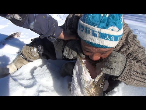 Видео: С эвенами на рыбалку. Кетанда и окрестности.