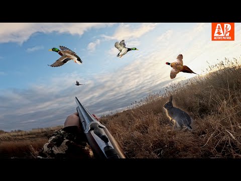 Видео: ЛУЧШИЕ МОМЕНТЫ С ОХОТЫ НА УТКУ, ФАЗАНА И ЗАЙЦА. Мой ТОП выстрелов на охоте 2024-2025 сезона.