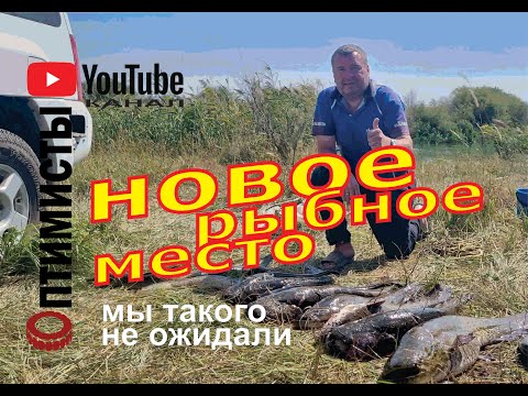 Видео: Нашли новое супер место: рыба сом в каждой яме.