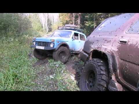Видео: Осенний Зов. В.Кинерки-Мостовая. Поехали по лайту, получилось как всегда....