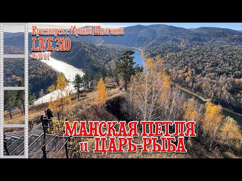 Видео: Манская петля и Царь-рыба. Окрестности Красноярска 🤩 LIVE 310