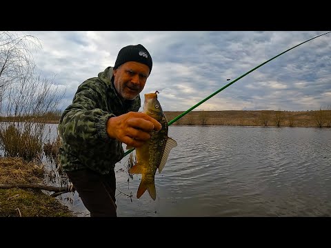 Видео: ХОРОШАЯ РЫБАЛКА НА ПОПЛАВОК 8 АПРЕЛЯ 2023