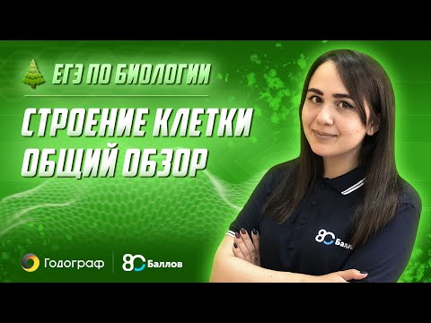 Видео: ЕГЭ по Биологии 2022. Строение клетки - общий обзор