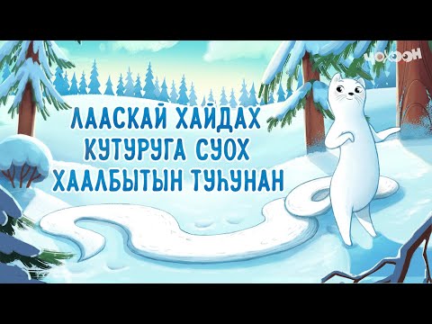 Видео: Лааскай хайдах кутуруга суох хаалбытын туһунан | Хотугу остуоруйалар