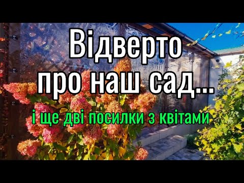 Видео: Огляд саду: продовження🌿🌺🌹. Та ще 2 посилки від подруг-блогерок💖👍✨