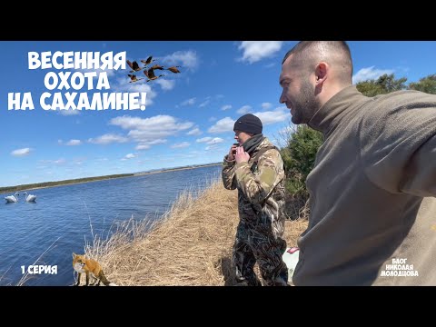 Видео: Весенняя охота на Сахалине. Озеро Невское. 1 серия