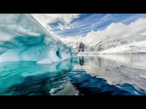 Видео: Пусть вашими действиями руководит ваша сущность. Экхарт Толле.