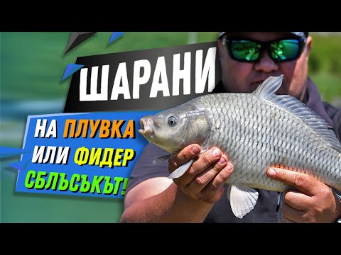 Видео: Разбихме шараните - на фидер или на плувка?