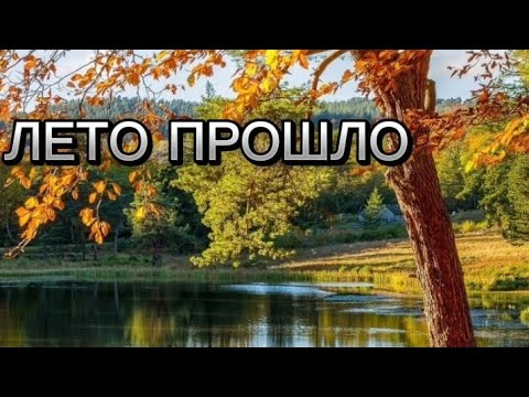 Видео: лето прошло