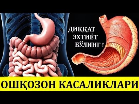 Видео: OSHQOZON-ICHAK | Ошқозон-ичак тизими: унинг аҳамияти, касалликлар ва сабаблар.#rek #efir #doctorMuzb