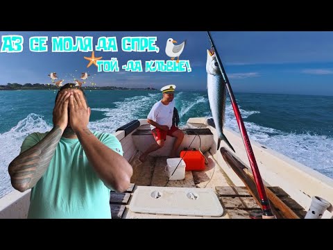 Видео: Риболов на сафрид от лодка – уникално преживяване, но на каква цена?