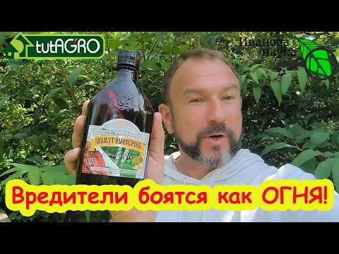 Видео: ТРОЙНОЙ УДАР ПО СЛИЗНЯМ и МУРАВЬЯМ! Лучшее проверенное средство от муравьев и слизней.