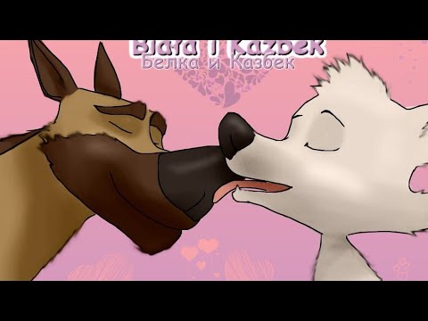 Видео: Белка и Казбек невеста