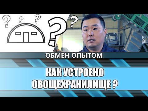 Видео: Как устроено овощехранилище ?