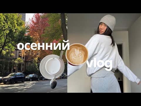 Видео: утренние шаги & время дома 