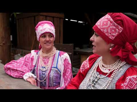 Видео: Летел голубь