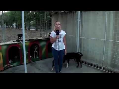 Видео: Смешные интервью  Подборка которая поднимет настроение