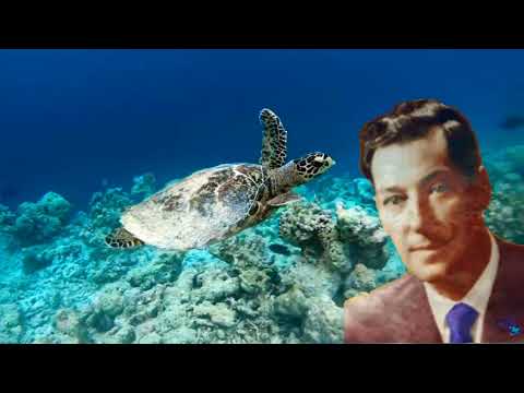 Видео: С ЭТОЙ ТЕХНИКОЙ ТЫ ИСПОЛНИШЬ ЛЮБУЮ ЦЕЛЬ!ОТ НЕВИЛЛА ГОДДАРДА